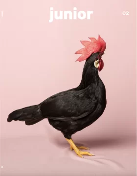 Junior Issue 2- the freedom issue