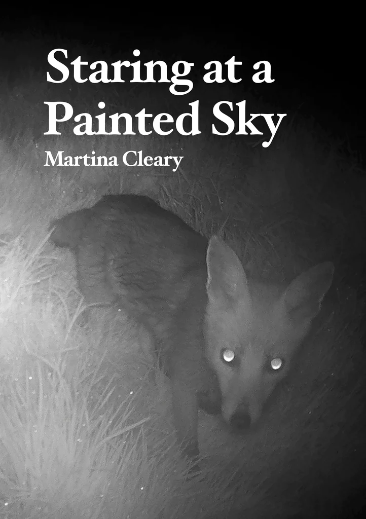 Staring at a Painted Sky Martina Cleary