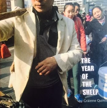 The Year of the Sheep Grainne Quinlan