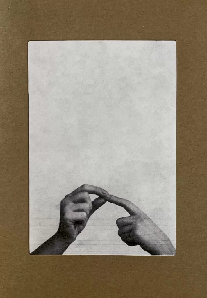 A-Thing-With-Insects