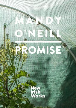 Promise-mandyoneill