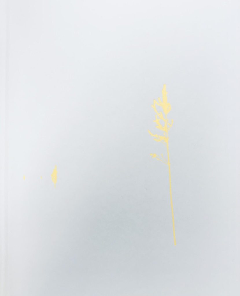 Beacons-Daragh-Muldowney-