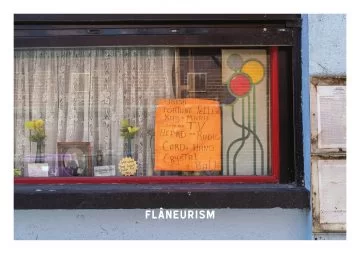 Flâneurism-Stray-Dogmas