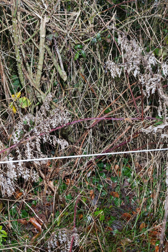 Of-Bounds-Bernadette-Keating