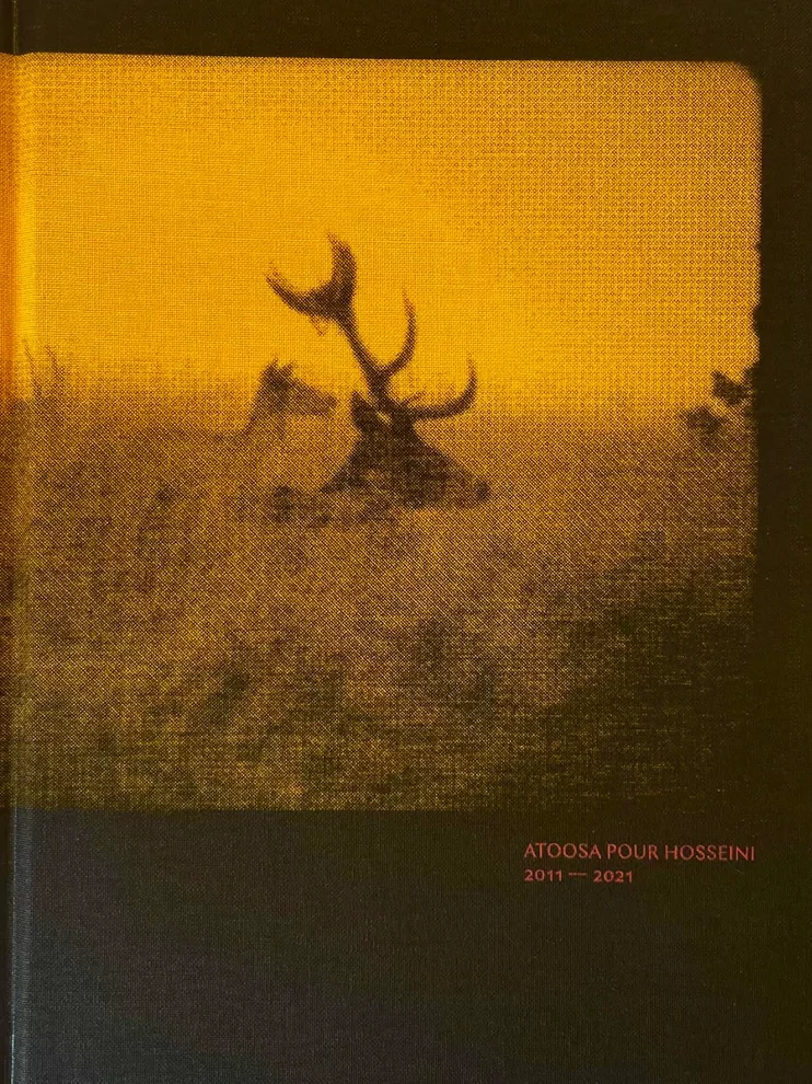 Atoosa-Pour-Hosseini-