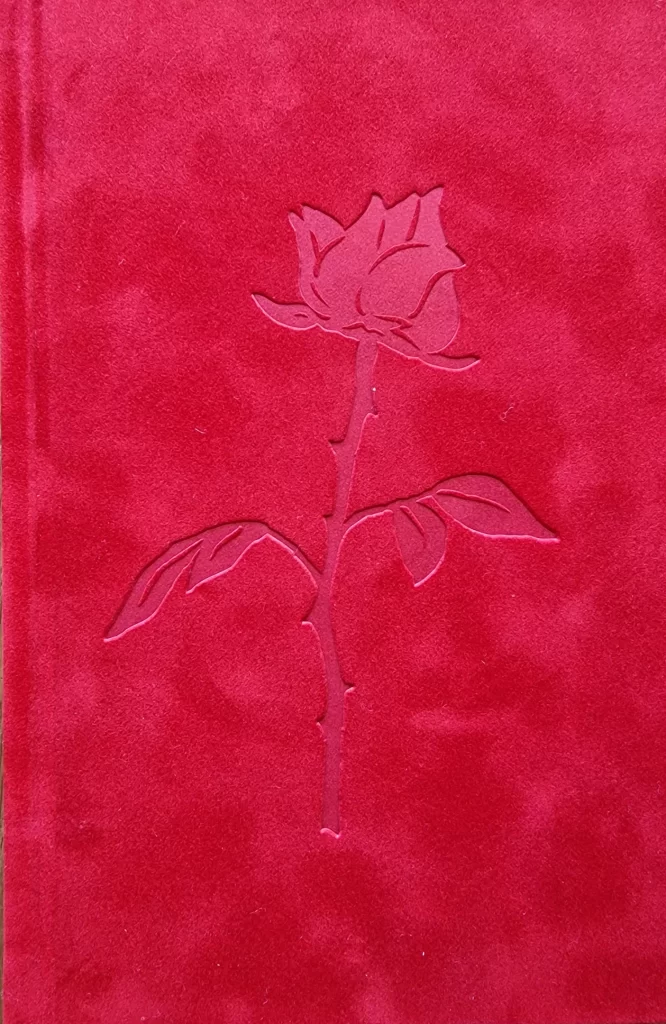 dragana-jurisic-her-own