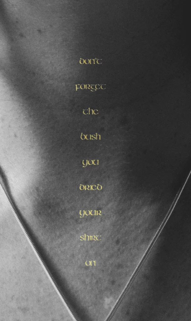 Don’t Forget the Bush You Dried Your Shirt On Sadhbh Lynam