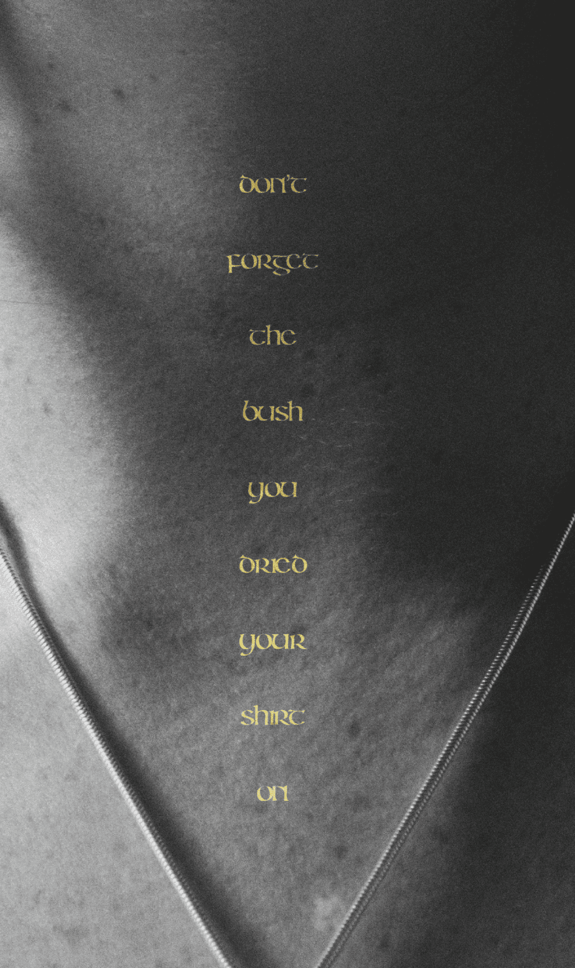 Don’t Forget the Bush You Dried Your Shirt On Sadhbh Lynam