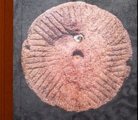 tremble-tremble-the-tower-by-Jesse-Jones